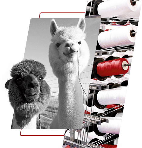 Festett poliészter fonal